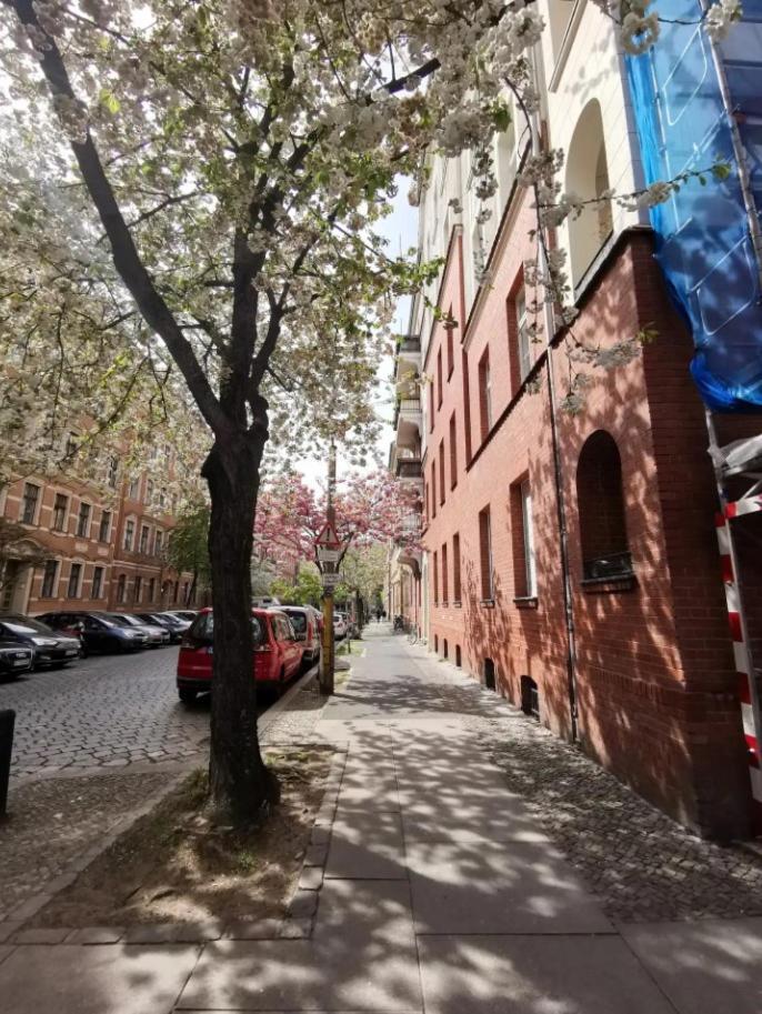 Appartement & Residencies *